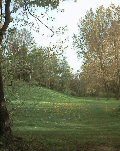 Back home through the park