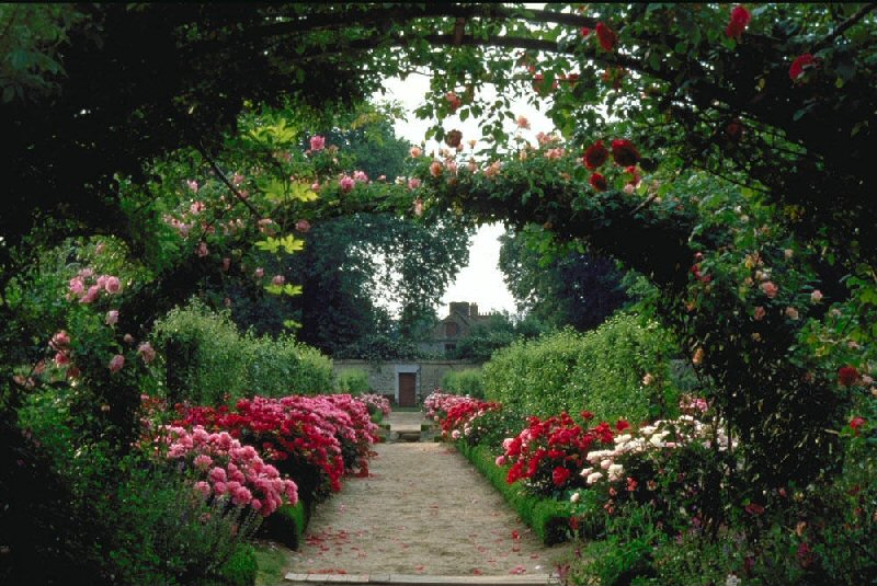 Garden - Château de Saint-Jean de Beauregard