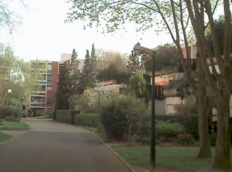 North view in spring