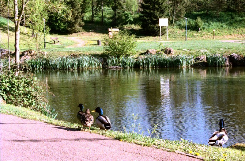 View of the North Park early morning