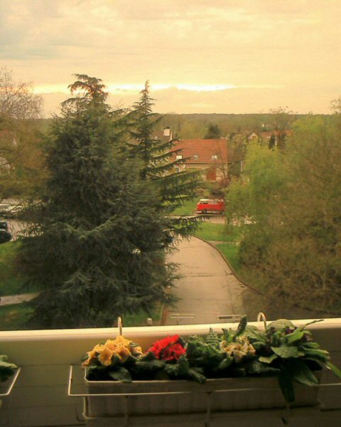 Sunset in April - Balcony view