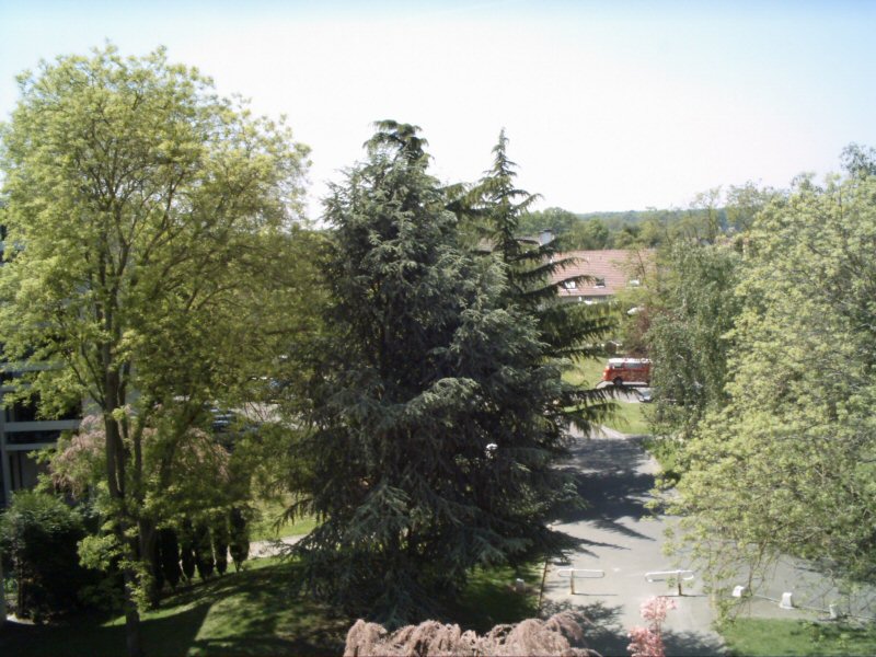 West view